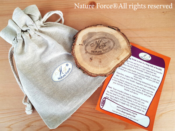 Nature Force Tree Spirit Wooden Forest therapy disc forest therapy at home dendrotherapy natural energy therapy