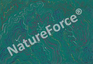 Success-Booster_Energy_Painting_Study-Success_Therapy_-Good-Grades_Nature-Force.jpg