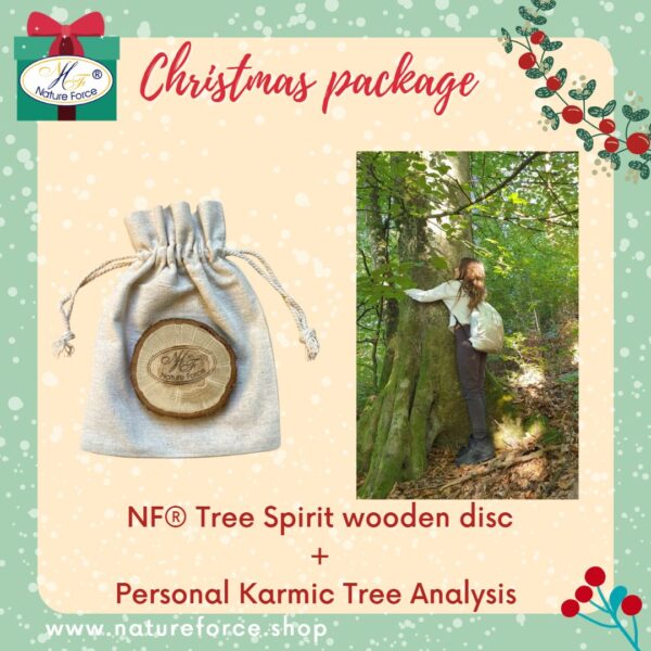 Nature Force Christmas sale NF Tree Spirit wooden disk for forest therapy at home and Personalized Karmic Tree Analysis, Christmas bundle gift