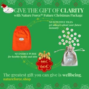 Nature Force Christmas Sale Gift Bundle Intuitive Divination Tiles and Energy Purse for alleviating Joint and Hand pain